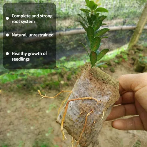 Vista 5 de Augshy Bolsas de cultivo de vivero, 400 bolsas de tela para plantas, bolsas de cultivo de plantas no tejidas, bolsa de inicio de siembra, plantas