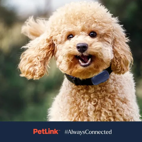 Vista 7 de PetLink Rastreador de perros GPS - Collar rastreador de mascotas en tiempo real - Rastreador GPS impermeable para perros con valla virtual