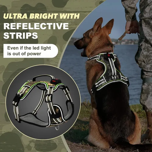 Vista 3 de Arnés para perro con luz LED para caminar de forma segura por la noche, chaleco de malla suave que brilla en la oscuridad, chaleco para perros