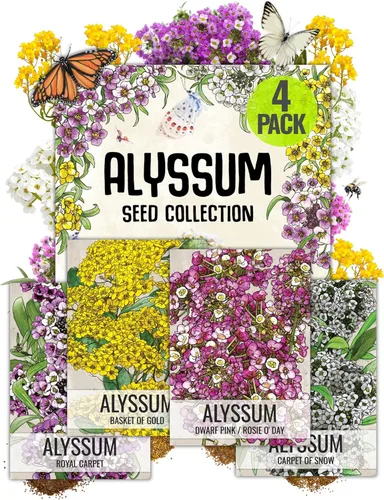 Vista 10 de Seed Needs - Semillas de Capuchina para Plantar Flores Comestibles - Juego de Colección de Mezcla Joya y Capuchinas de Doble Brillo para Atraer