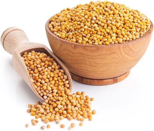 Vista 7 de Semillas Mostaza Amarilla - Vegetal Heirloom - Libre de OGM