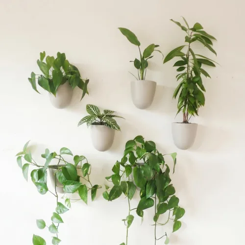 Vista 7 de Make Good PlantPod Luxe - Macetas de pared con riego automático (juego de 6, verde bosque), fáciles de regar e instalar, ligeras, diseña tu propio