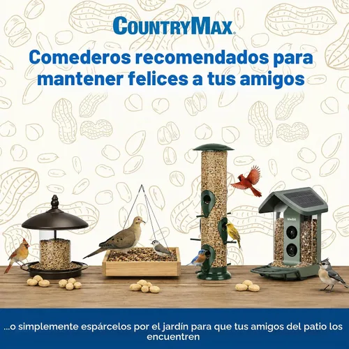 Vista 6 de CountryMax Backyard Seeds Semillas de Girasol de Aceite Negro para Aves Silvestres (50 Libras)