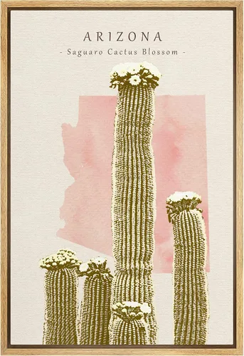 Vista 15 de Lienzo enmarcado para pared, diseño de rosa del desierto con pinchos, plantas florales suculentas, fotografía, arte moderno, primer plano