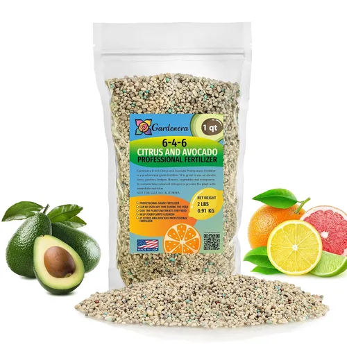 Vista 109 de Fertilizante profesional de palmeras prémium 8-4-8 Plantas en macetas de interior y palmeras de paisaje al aire libre Fertilizante nitrogenado