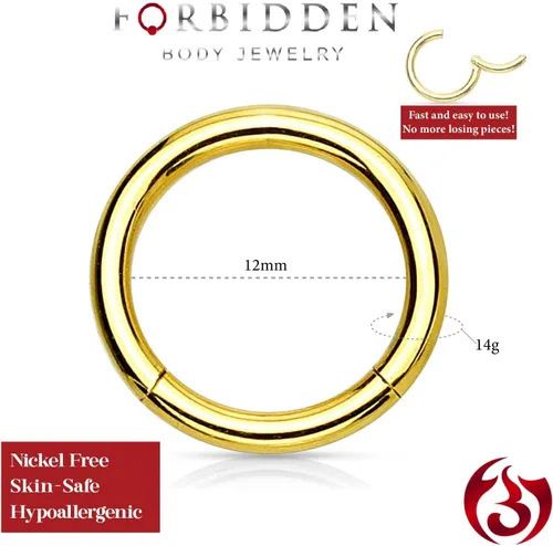 Vista 82 de Forbidden Body Jewelry - Piercing para la nariz de acero quirúrgico 316L con bisagra, 14G, 16G, 18G, diámetro de 15/64, 5/16, 25/64, 15/32 pulgadas