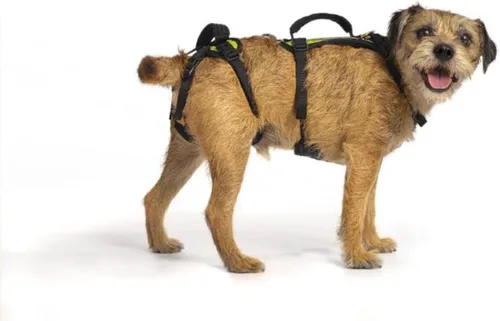 Vista 9 de Help 'Em Up® - Arnés de elevación para perros │ Arnés de elevación ajustable para perros │ Soporte de cuerpo completo, soporte de pierna trasera