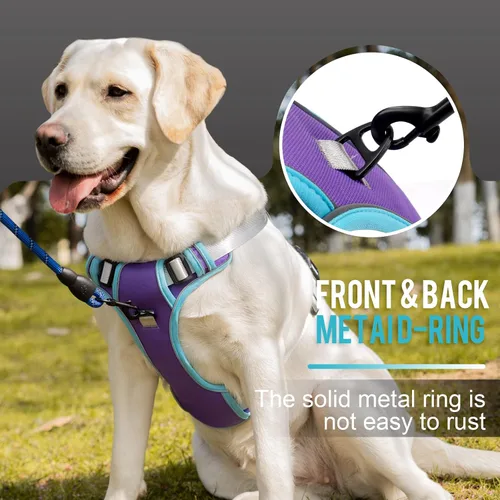Vista 8 de Arnés para perro sin tirones, arnés reflectante para perro con 2 clips delanteros y traseros, arnés Oxford para mascotas, chaleco acolchado suave
