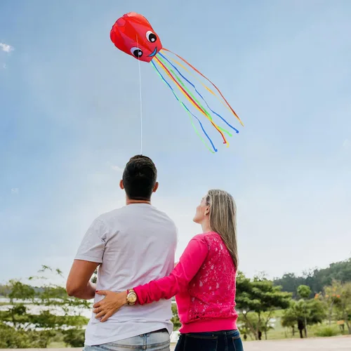 Vista 5 de Paquete de 3 cometas grandes de pulpo sonriente mejoradas, hermosa cometa de cola larga para niños y adultos, fácil de volar a la playa, grandes