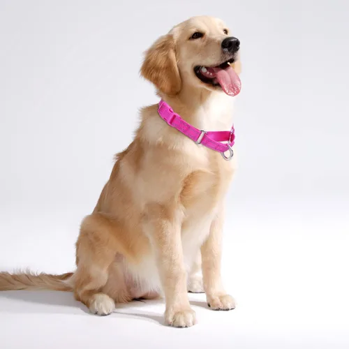 Vista 2 de Martingale - Collar reflectante para perro con hebilla de liberación rápida, collar ajustable de nailon para perros pequeños, medianos y grandes