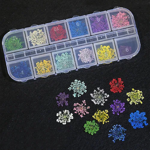 Vista 8 de 2 cajas de flores secas para uñas, mini flores de uñas reales 3D, flores secas, calcomanías de uñas, decoración de uñas, decoración de manicura