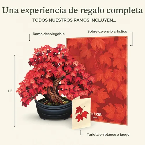 Vista 4 de Freshcut Paper Red Maple Tree - Tarjeta desplegable clásica de 11 pulgadas Árbol de arce rojo