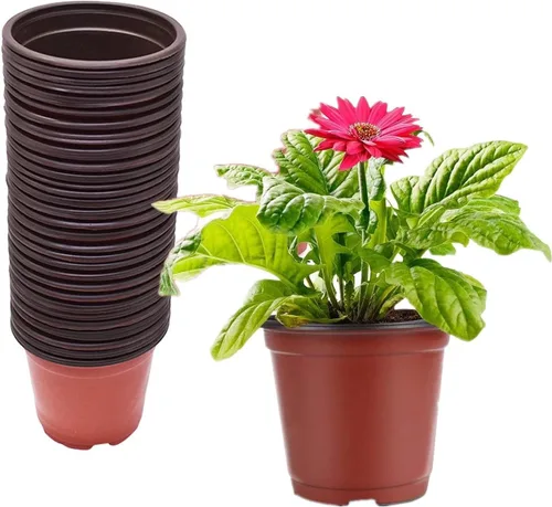 Vista 10 de 100 macetas de plástico para vivero, macetas de plástico reutilizables para suculentas, plántulas, esquejes, trasplante, plántulas con agujeros
