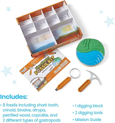Vista 2 de hand2mind - Kit de excavación de fósiles para excavar y exhibir, vitrina de fósiles, 8 fósiles reales para descubrir, kits de excavación para niños