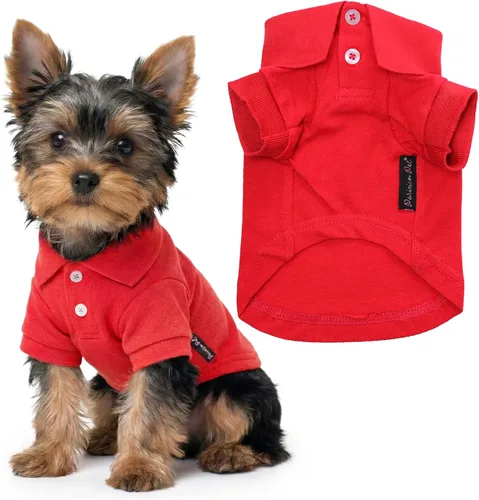 Vista 53 de Camisas Polo Parisian Pet - Camisa de Algodón Transpirable para Perros - Azul Sólido, Ropa de Verano con Capucha - Cuello con Botón para Perros