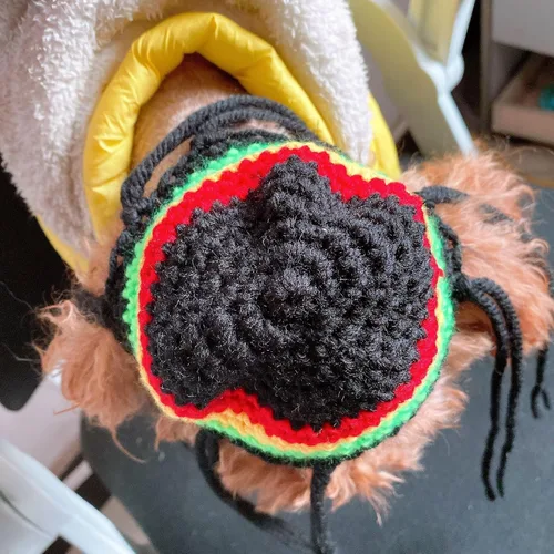Vista 4 de Gorro de punto para perro con rastas, gorro de lana de invierno para perros