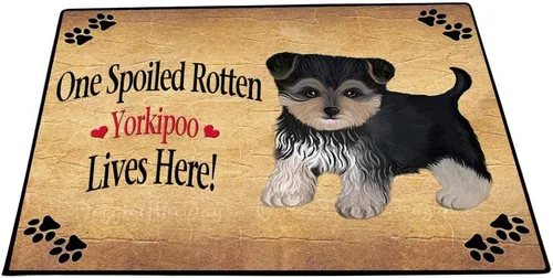 Vista 16 de Doggie of the Day Yorkipoo Dogs Floor Mat - 4th of July Independence Day - Best Dog Doormat - Protector Decor - Unique Portrait Art - Premium