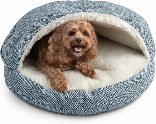 Vista 37 de Snoozer Cama de lujo de microsuede acogedora estilo cueva para mascotas, pequeña, antracita For small sized pets, Removable washable cover