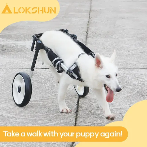 Vista 13 de Large Dog Wheelchair for Back Legs with Multi-Function Pet Lift, Wheelchair for Dogs Thickened, Adjustable Back Leg Dog Wheel Chair, Dosg Carts with