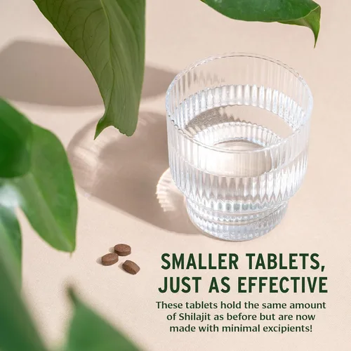 Vista 6 de Banyan Botanicals Shilajit – 90 comprimidos puros prensados para energía y vitalidad*