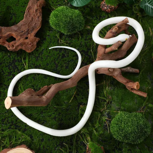 Vista 7 de TOYANDONA Serpiente de goma realista serpiente de goma de juguete blanco falso realista serpiente juguetes educativos para niños broma prop