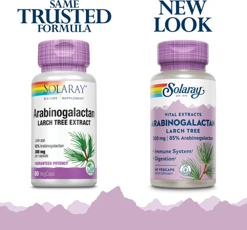 Vista 2 de SOLARAY Arabinogalactan, extracto de alerce de 300 mg Fibra prebiótica para un intestino saludable y apoyo del sistema inmunológico 60 cápsulas