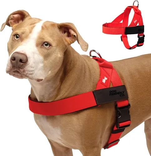Vista 11 de Arnés para perro Dog Friendly Co Correas resistentes a rozaduras, cuello y pecho ajustables, y anillo en D resistente Resistente, cómodo, fácil