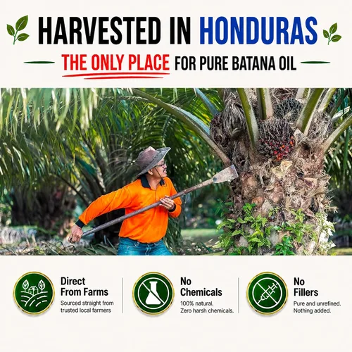 Vista 5 de Aceite de batana - El aceite milagroso hondureño para el crecimiento del cabello y el cuidado de la piel - 100% puro - 16 oz (454G)