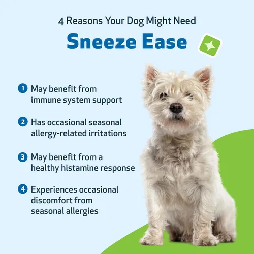 Vista 3 de Pet Wellbeing Estornudar para perros - Estornudos ocasionales, alergias estacionales, molestias de nariz y ojos, ojos y ortigas, suplemento