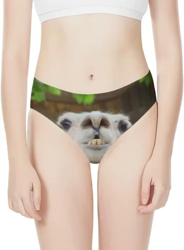 Vista 3 de Allinterest Ropa interior sexy y divertida con estampado travieso para mujer