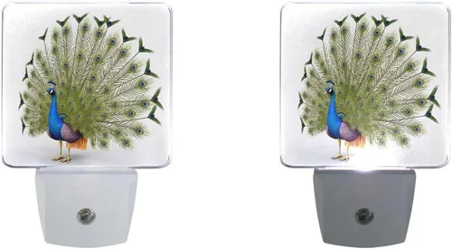 Vista 5 de Lámpara LED de luz nocturna enchufable con impresión de pavo real azul con sensor de atardecer a amanecer para dormitorio, baño, pasillo, escaleras