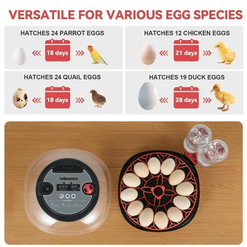 Vista 6 de Gen II - Incubadora automática de 12 huevos, humedad de dos etapas con recarga automática y control de temperatura estable, giro automático