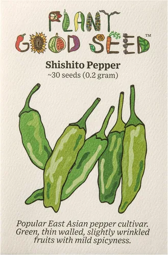 Vista 4 de Plant Good Seed Semillas orgánicas de chile de cayena – Paquete de 40, semillas tradicionales para plantar verduras – Suministros de jardinería