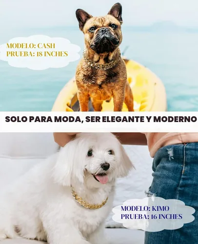 Vista 2 de Collar de perro de eslabones cubanos – Collar de perro de cadena dorada de metal ligero de 3/4 pulgadas de ancho, lindos accesorios de joyería