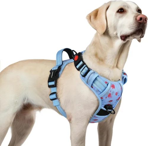 Vista 12 de Rabbitgoo - Arnés para perro de tamaño pequeño, arnés para mascotas sin tirones con 3 hebillas, chaleco acolchado suave ajustable con mango