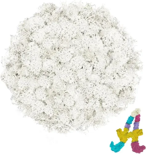 Vista 32 de Musgo de reno azul de 3.5 onzas, musgo preservado para plantas, decoración de musgo, musgo verde para manualidades, musgo para plantas en maceta