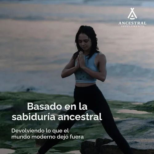 Vista 5 de Ancestral Supplements Suplemento de hueso vivo de carne de res alimentada con pasto, cápsulas de harina de hueso que apoyan la salud ósea, la salud