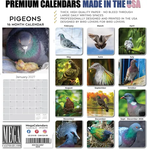 Vista 307 de Calendario de grises africanos 2025 2026 – Planificador mensual de pared de aves africanas – 12 x 18 pulgadas (abierto), calendario de pared