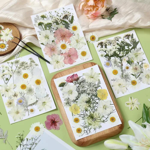 Vista 2 de 86 piezas de flores prensadas secas blancas y rosas para manualidades de resina Blanco 86 piezas