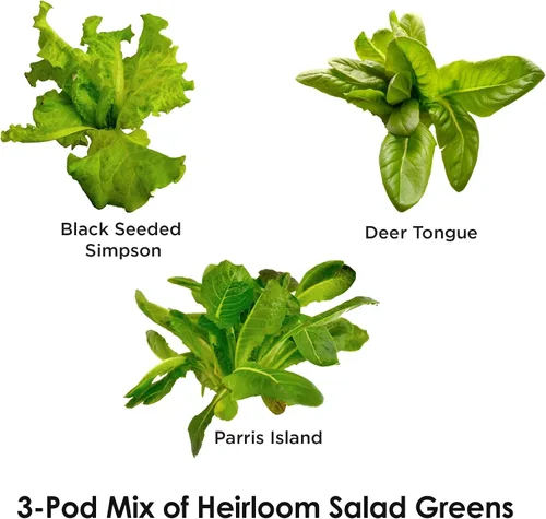 Vista 2 de Miracle-Gro AeroGarden - Kit de semilla autóctonas en vainas de ensalada