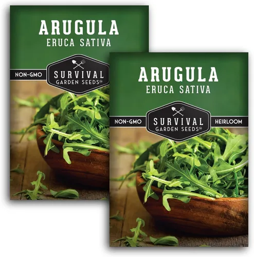 Vista 10 de Semillas de rúcula para plantar, semillas de ensalada de cohetes tradicionales para cultivo en interiores, exteriores, contenedores y microverdes
