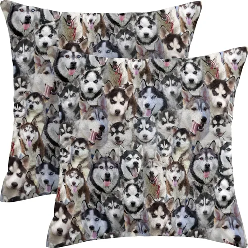 Vista 18 de Regalo para amantes de Airedale Terrier, 2 fundas de almohada de Bingley Terrier, fundas de almohada con estampado de cara de perro, fundas
