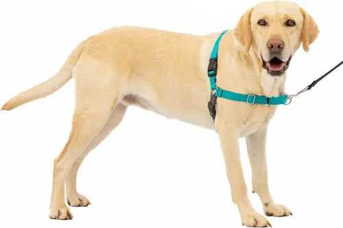 Vista 55 de PetSafe Easy Walk - Arnés para perro, sin tirones, gris carbón Carbón/Negro