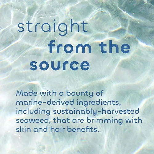 Vista 3 de Seaweed Bath Co. Acondicionador brillante, aroma a bergamota de sal marina, 12 onzas, algas cosechadas de forma sostenible, Awapuhi, ácido láctico
