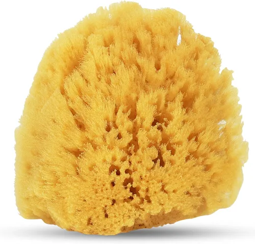 Vista 10 de HartFelt Esponja exfoliante de hierba marina de 4 pulgadas Esponja exfoliante natural para ducha para mujeres y hombres