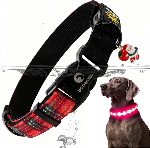 Vista 12 de DOGWONG Collar de perro con luz LED para Halloween, recargable e impermeable, collares de perro iluminados para otoño para caminar por la noche