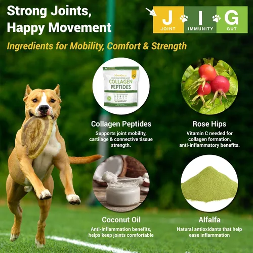 Vista 3 de MariGold JIG para perros, articulaciones, inmunidad, apoyo intestinal y colágeno para perros, sin OMG, cacahuetes orgánicos, cáñamo orgánico, libre