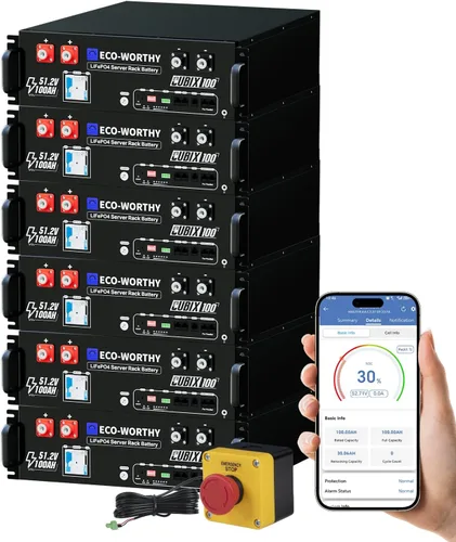 Vista 11 de ECO-WORTHY Cubix100 48V 100Ah LiFePO4 LiFePO4 Batería para rack