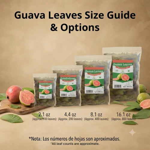 Vista 2 de Hoja de guayaba Premium 100+ hojas (2.1 oz / 59.5 g) Hojas de guayaba secas enteras 100% naturales.