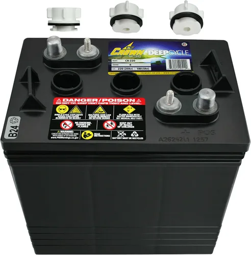 Vista 6 de PowerStar Crown CR-220 Group GC2 6V 220 Ah Batería X4